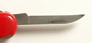 Swiss Army Knife Emergency Blade