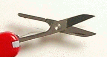 Swiss Army Small Scissors