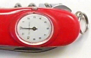 Swiss Army Watch